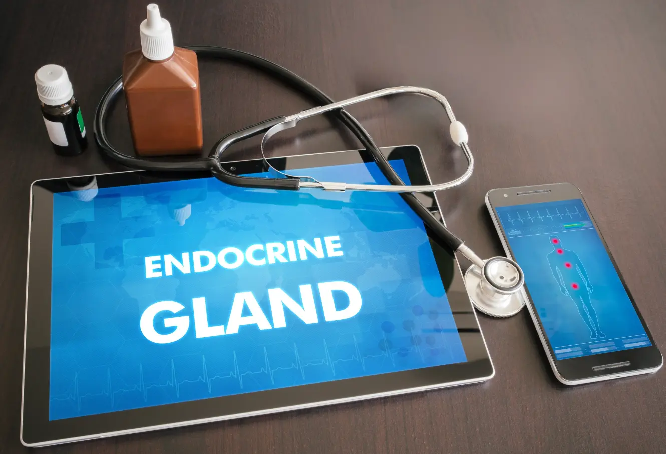 Perturbateurs endocriniens : l'invasion silencieuse au cœur du vivant