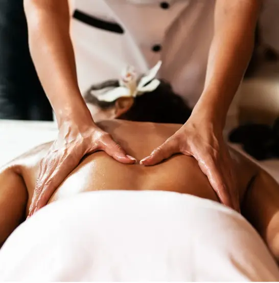 logiciel pour praticiens massage bien-être